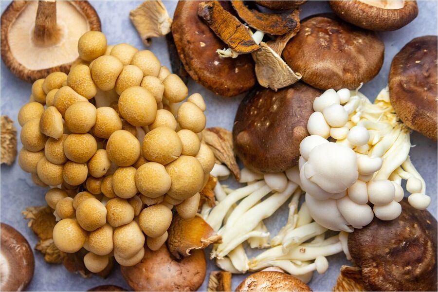 Mantar Çeşitleri: Yenilebilir Mantar Türleri