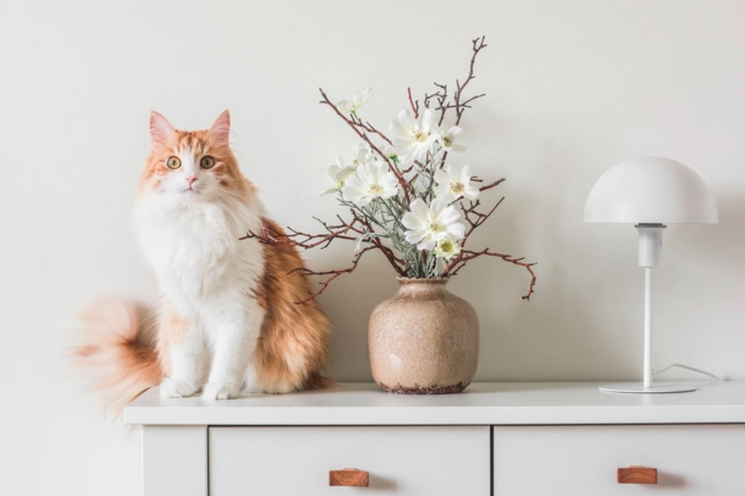 Büyük Vazo Çiçekleri: Vazoya Yakışan 8 Zarif Tür